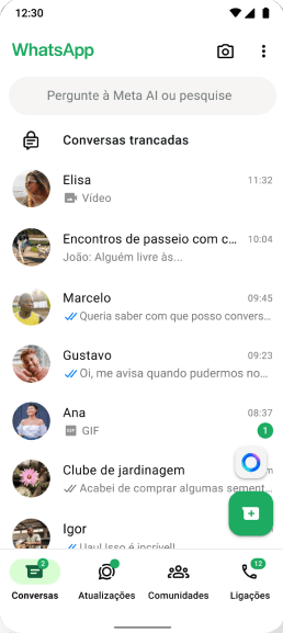 WhatsApp Interface